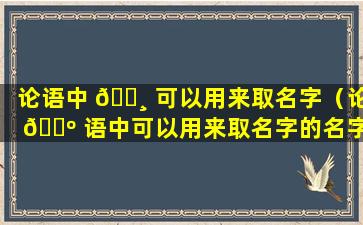 论语中 🌸 可以用来取名字（论 🌺 语中可以用来取名字的名字）